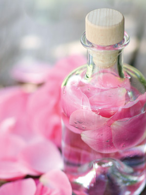 steam plant floral water