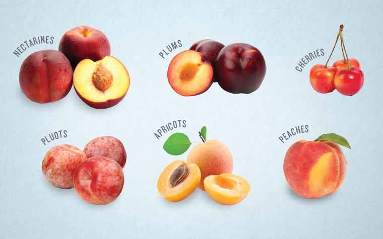 stone fruit guide