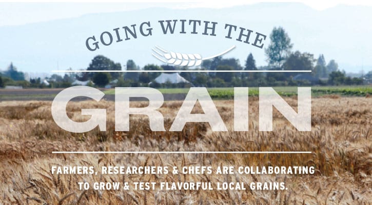 Grain cover image sc