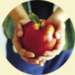 hands holding apple