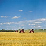 tractors in field