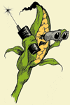 Corn