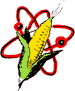 nuclear corn illustration