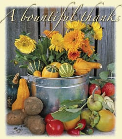 Image of flowers and squash, text reading 'A bountiful thanks,' cover artwork for Sound Consumer November 2004 issue