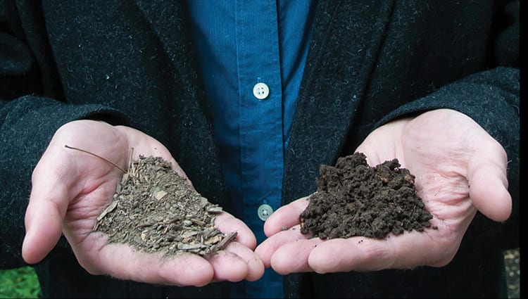 soil comparison in hand