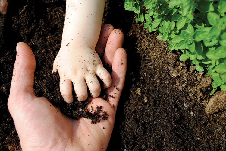 soil hands baby and parent