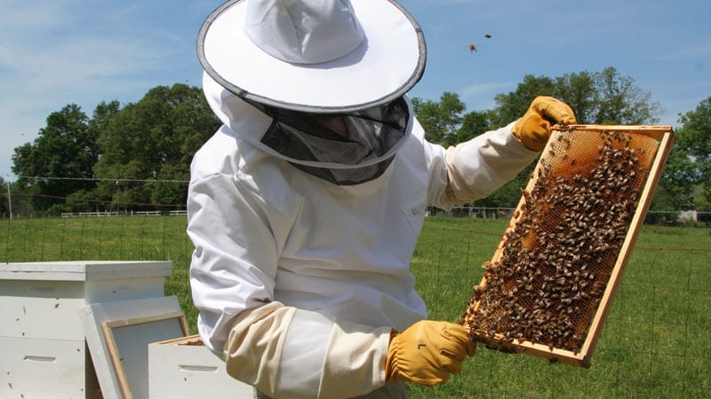 Standards you can trust