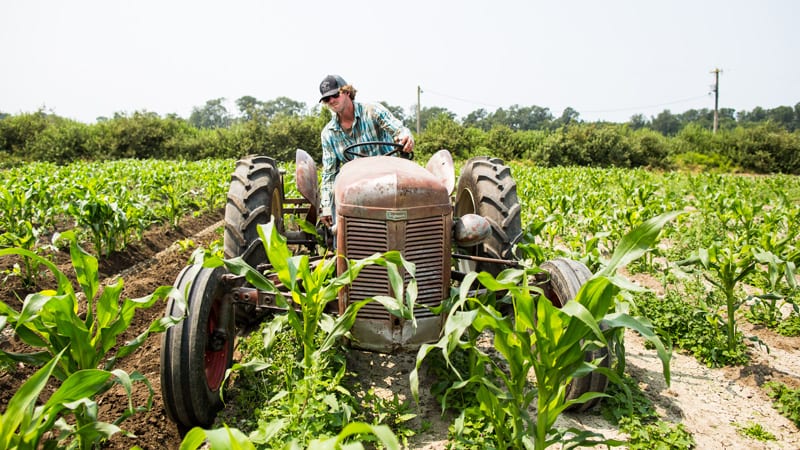 Farmer and tractor