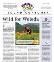 Sound Consumer, March 2017