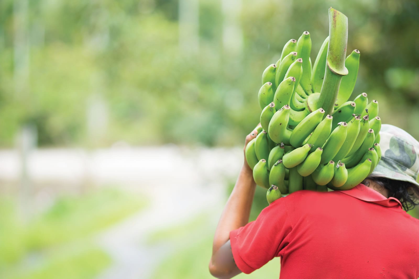 man carrying bananas