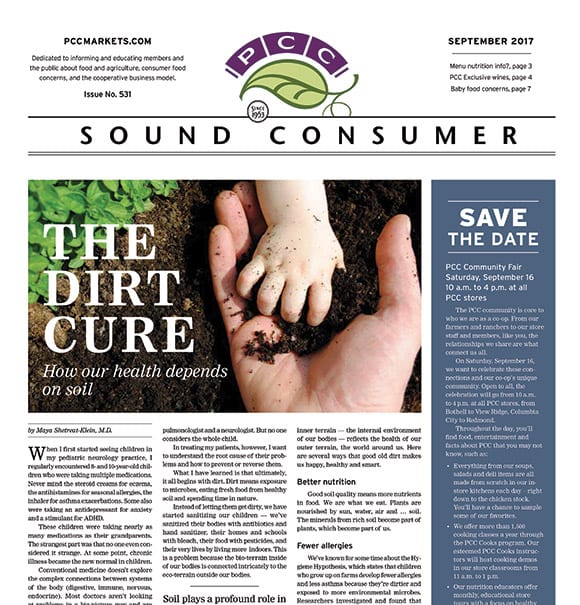 Sound Consumer, September 2017