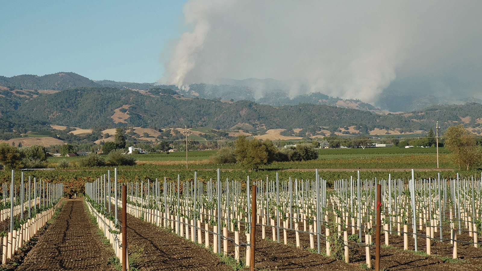 wine country wildfires
