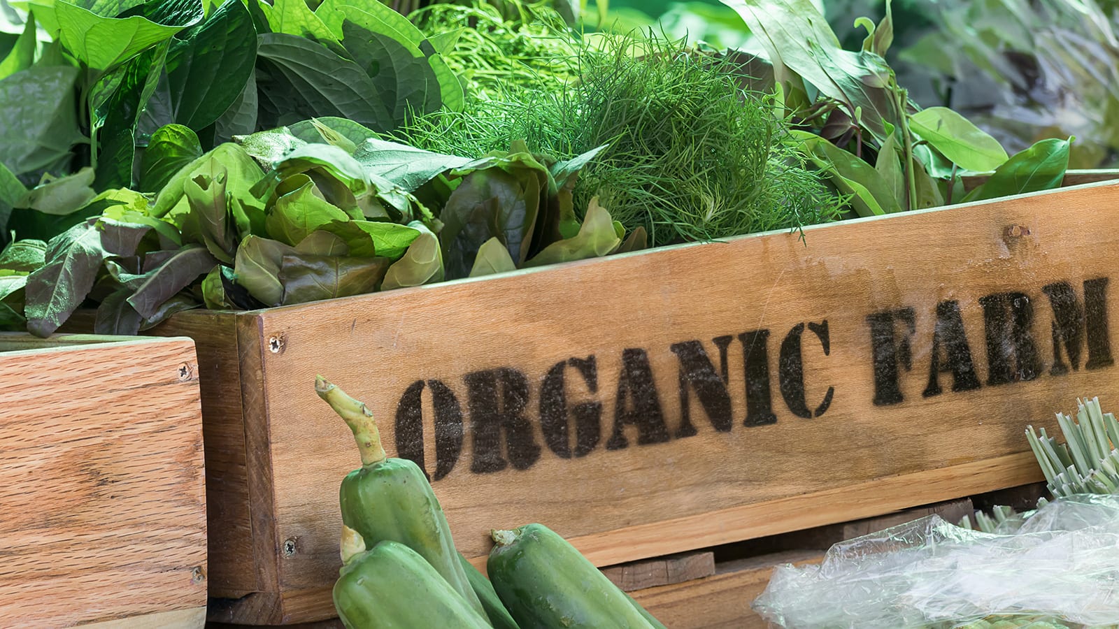 organic produce box