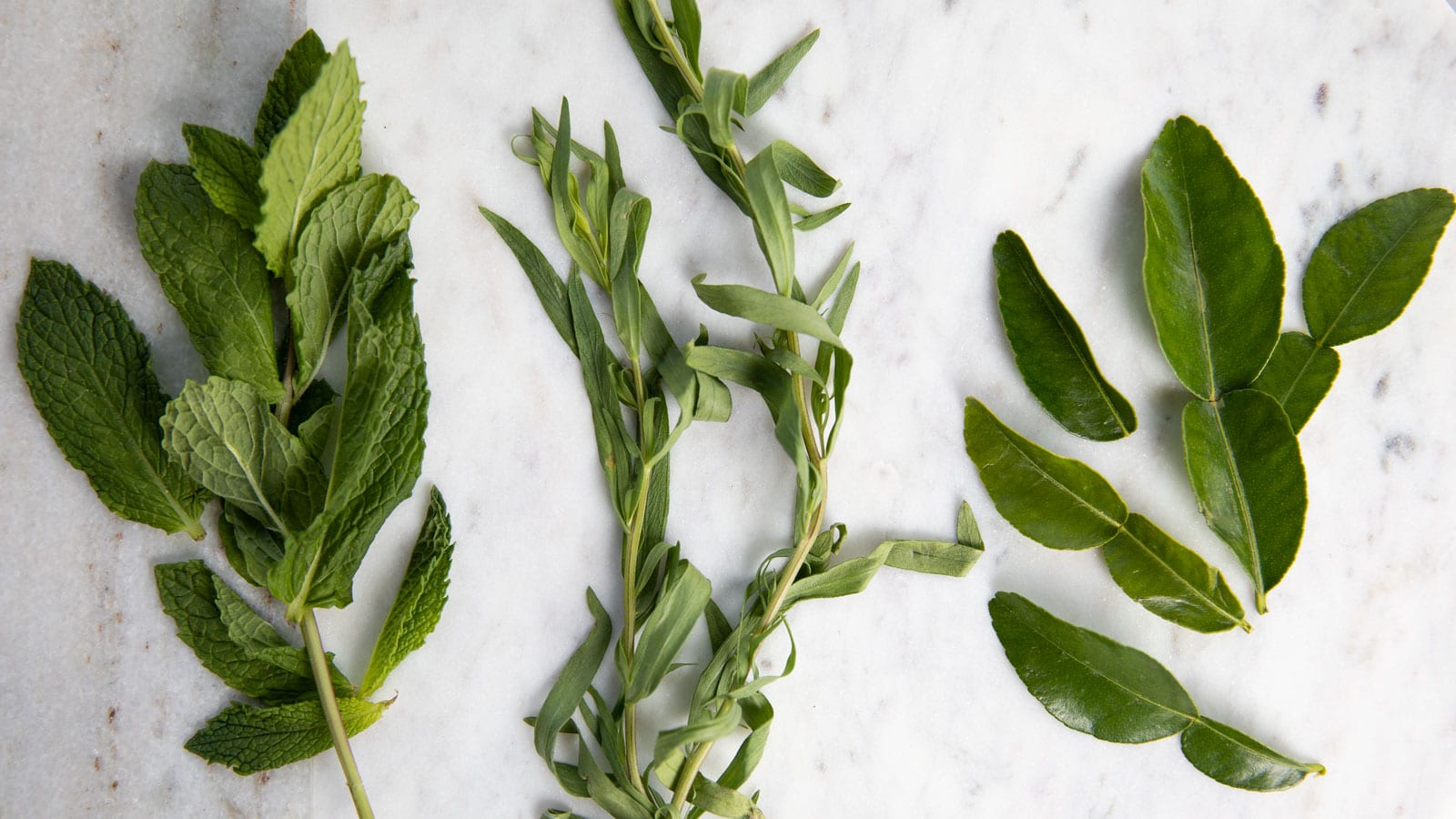 arrangement of spring herbs