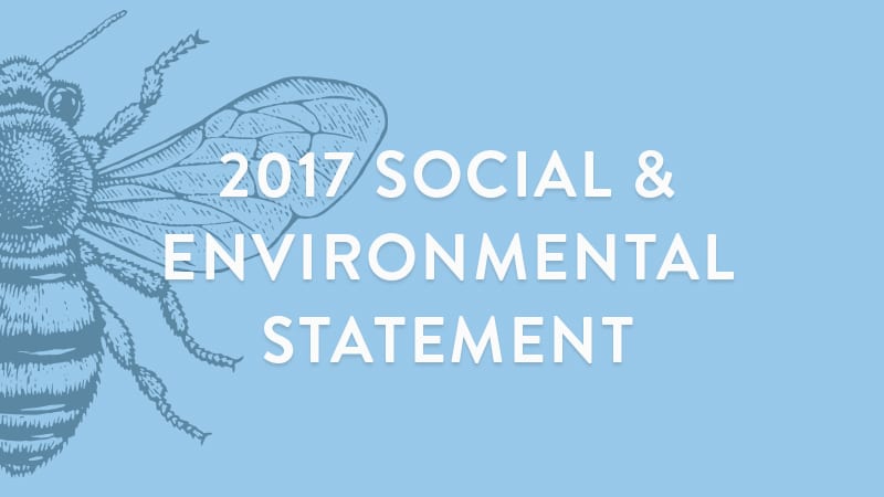 social environmental statement