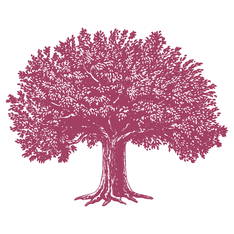 Legislative wins and losses for 2025