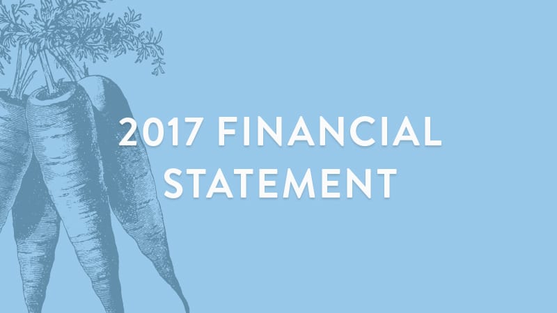 2017 financial statement