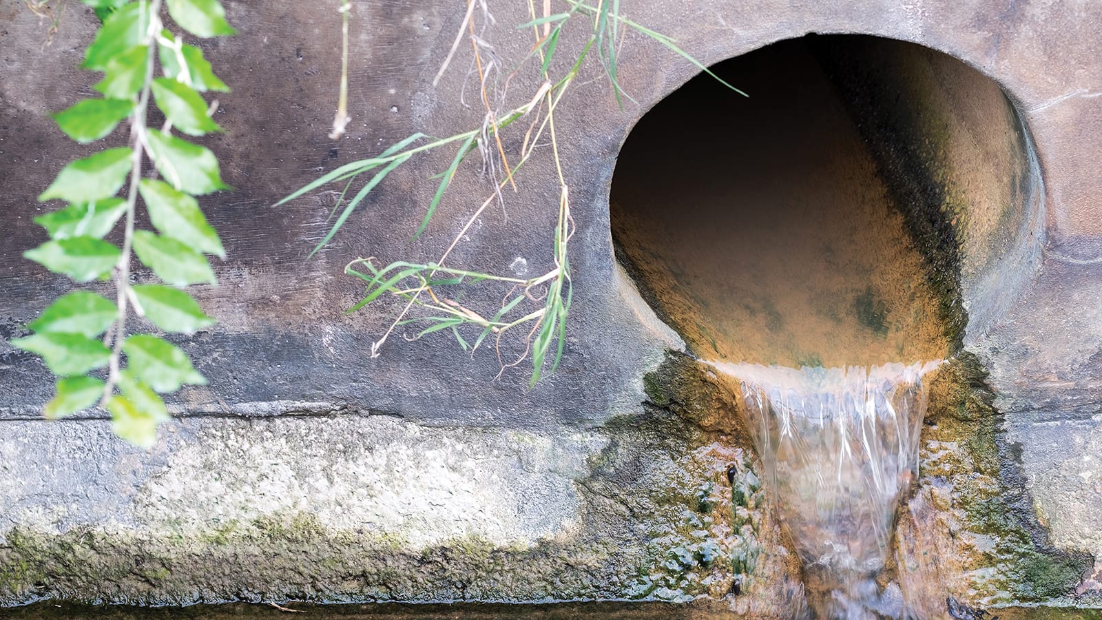 a culvert draining water