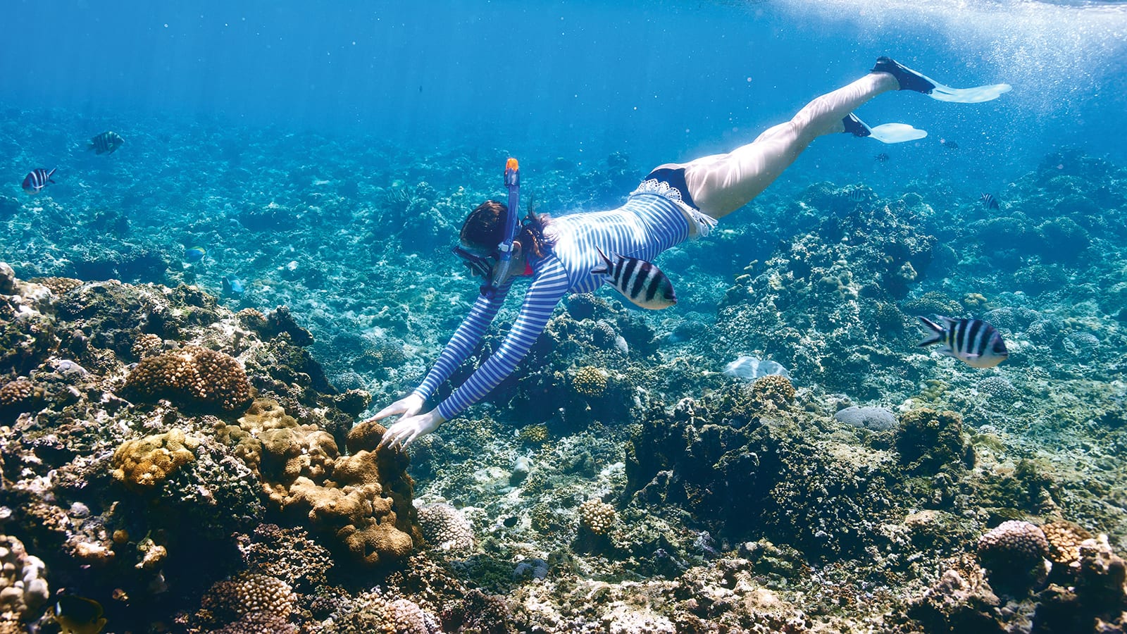 snorkeler diving amongst dead coral reefs