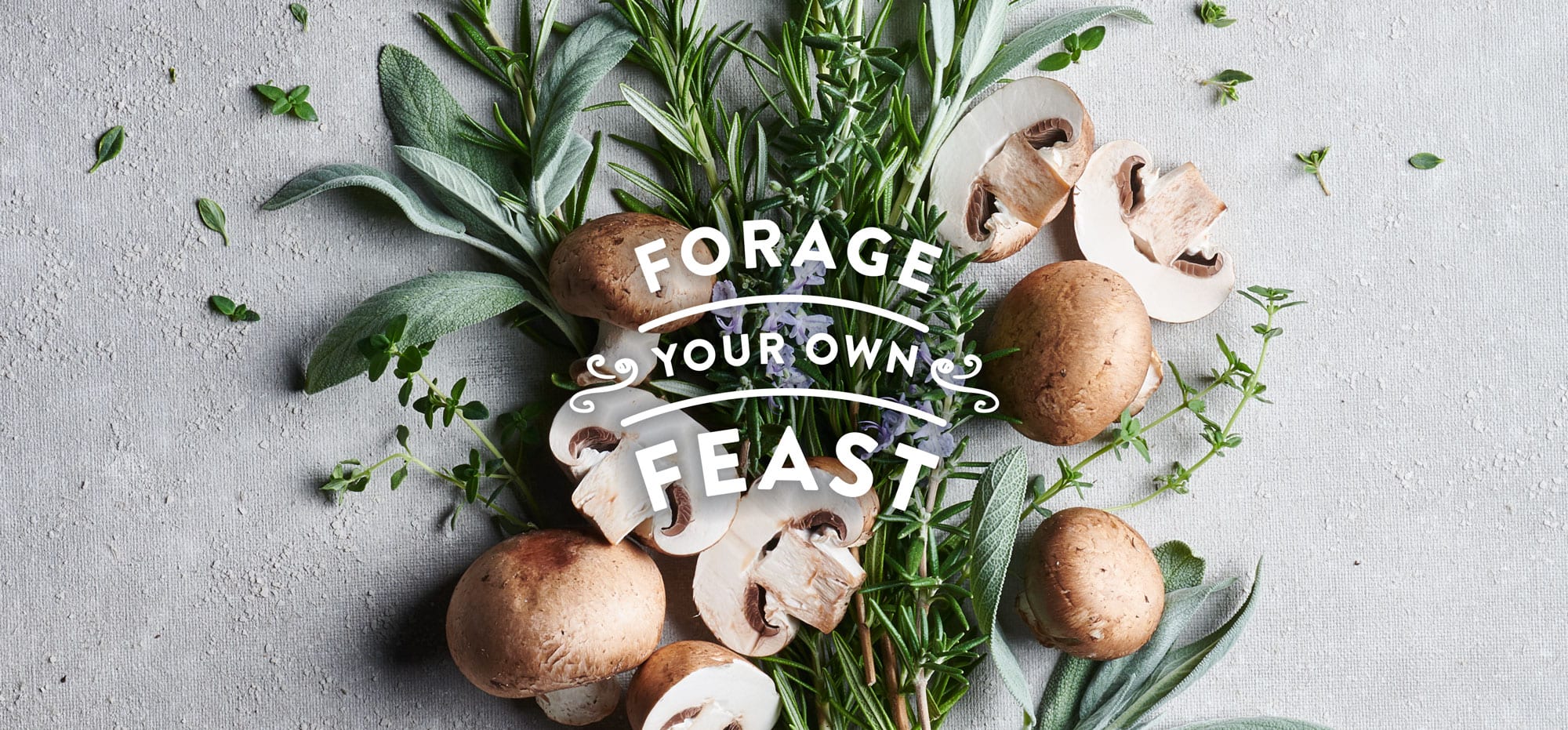 PCC Holiday Mushroom Gravy Ingredients