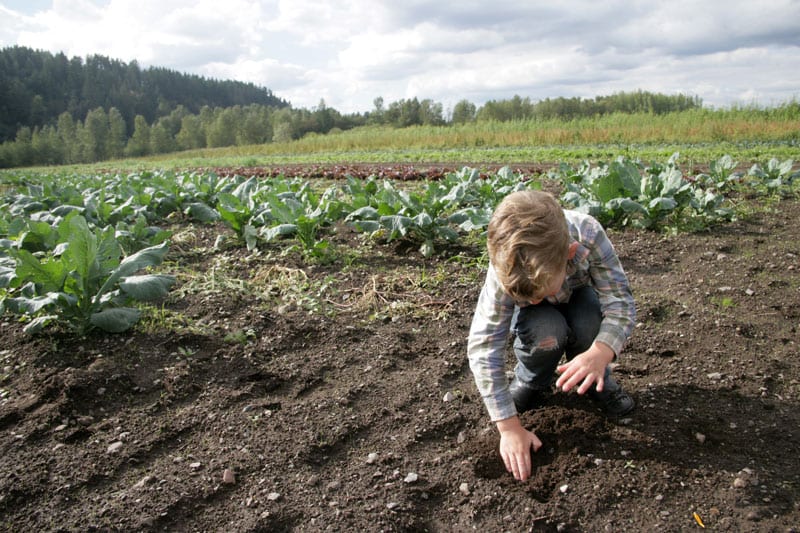 future farmer boy planting seed