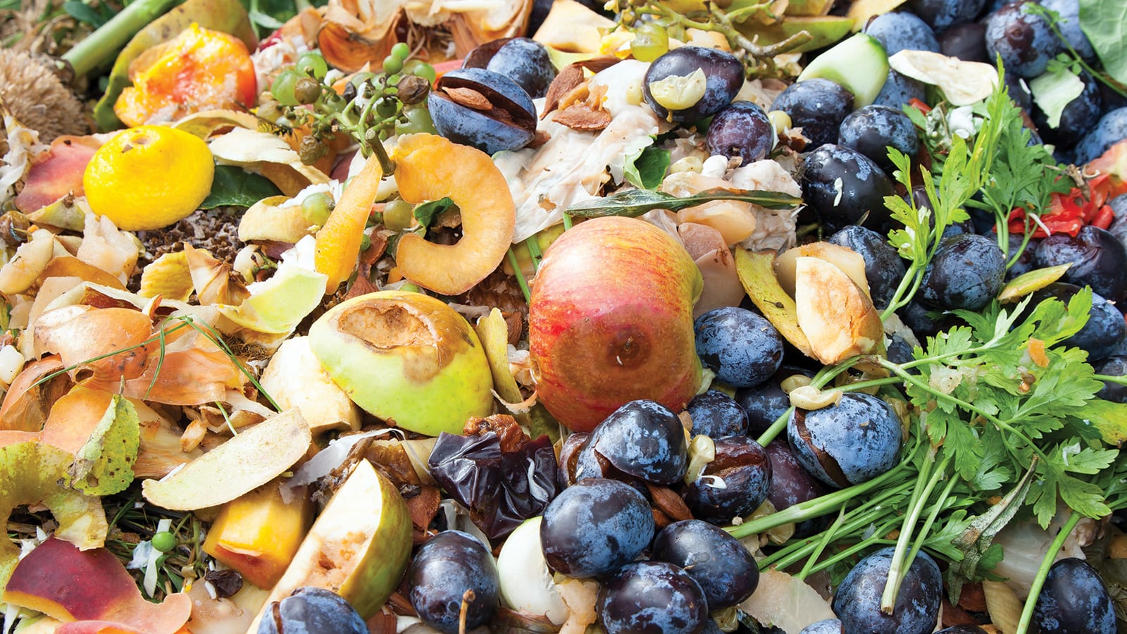 A colorful compost pile.