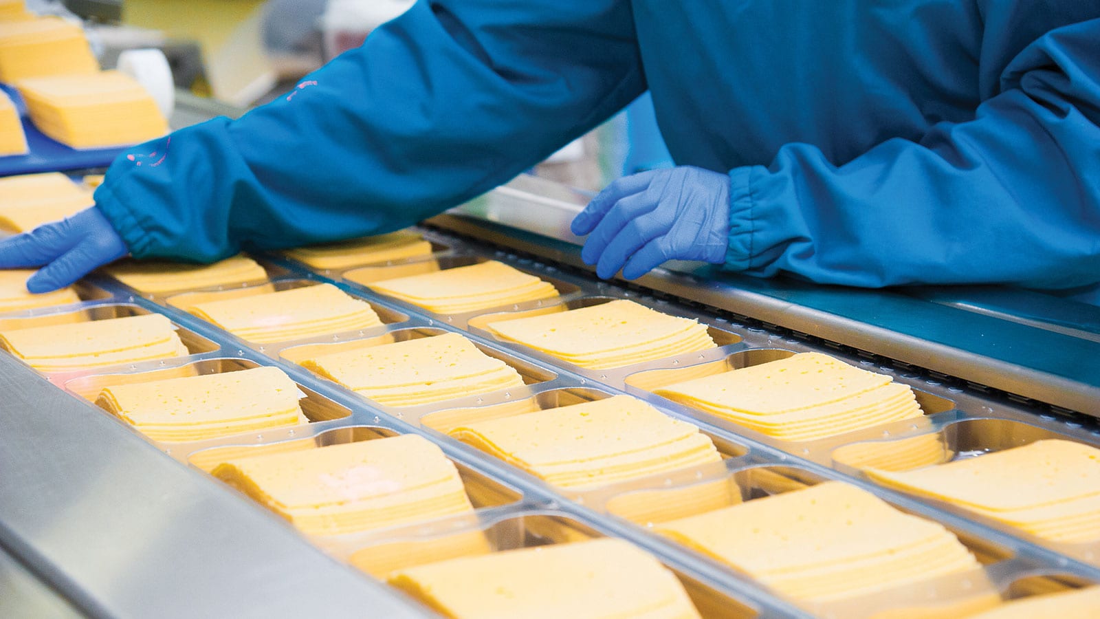 Worker handling sliced cheese in a production line at a U.S. cheesemaking factory.