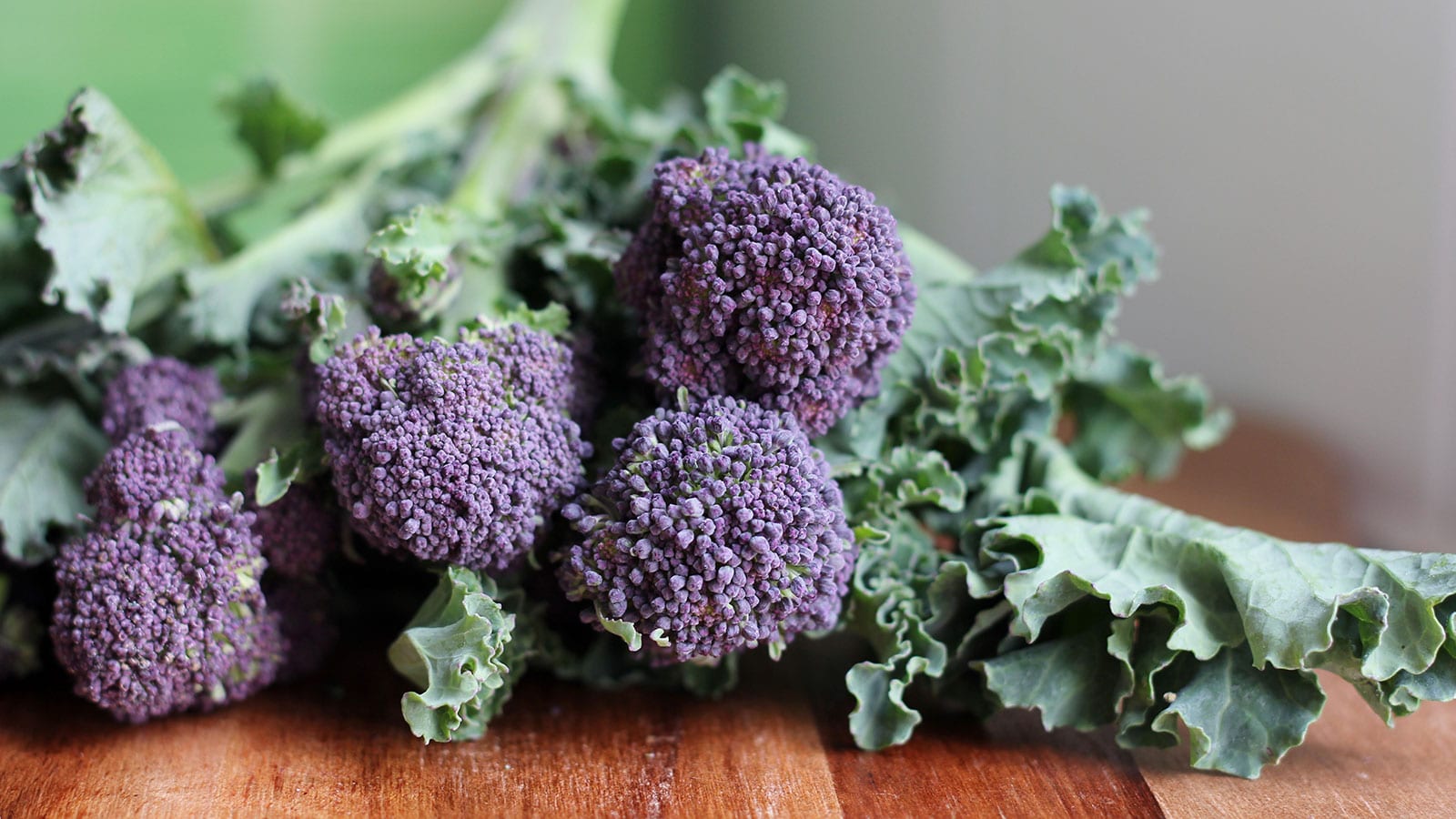 Purple sprouting broccoli.