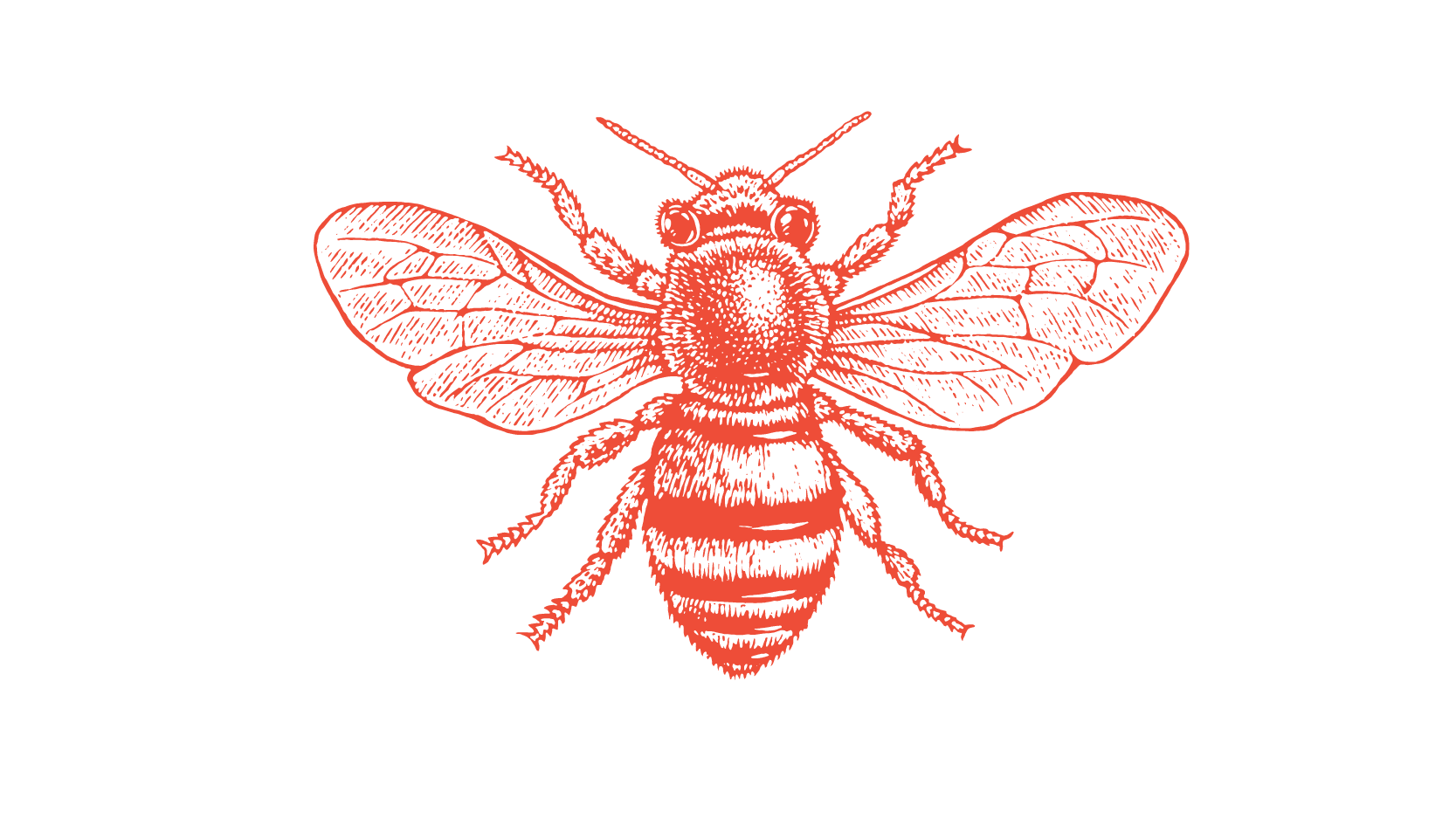 Roles and responsibilities of the PCC Board of Trustees