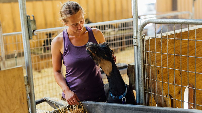 Loving farmer admires her goat friend at Mountain Lodge Farm. Photos courtesy of Rylea Foehl and Pierce County Fresh. 