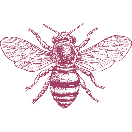 brand bee purple for light backgrounds