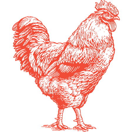 2023 elections are coming