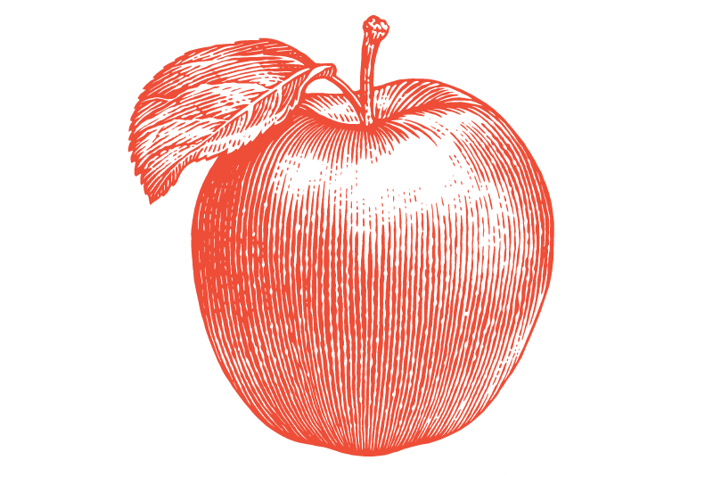Apple illustration for light backgrounds