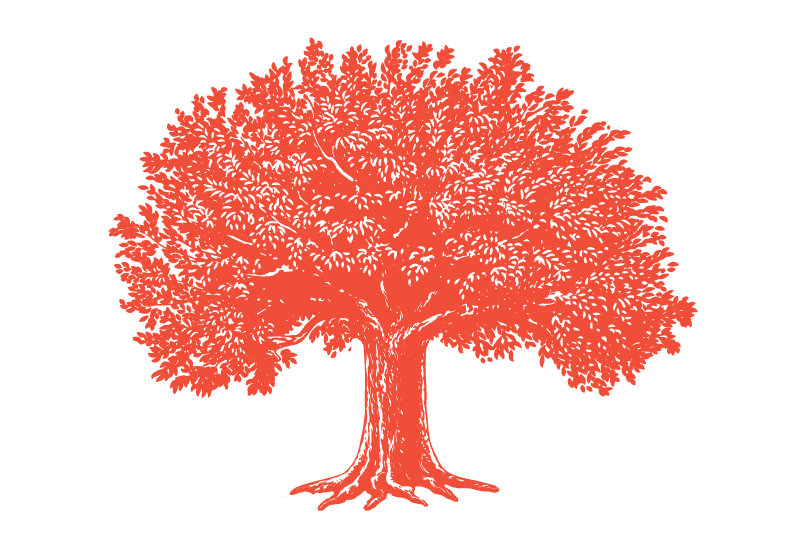 Illustration of a tree.