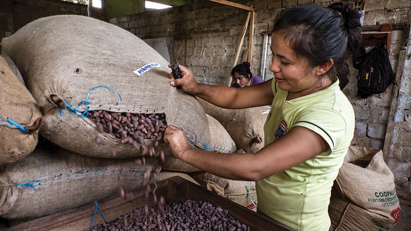 Dark Markets Peru