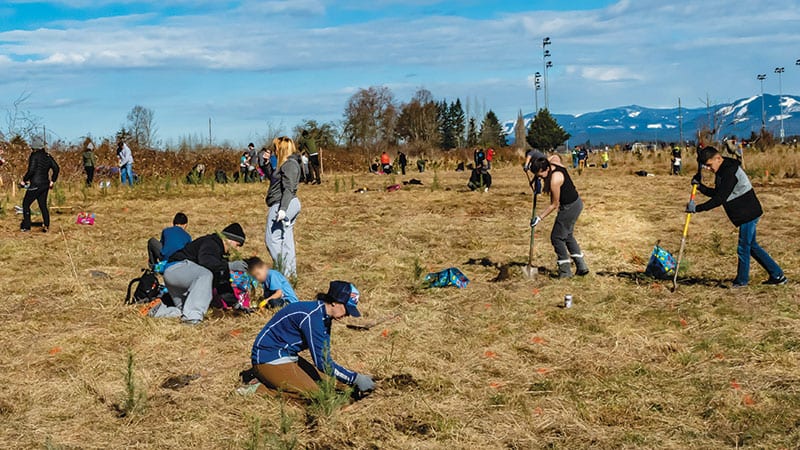 Volunteers plant trees at Strawberry Fields Park in Marysville