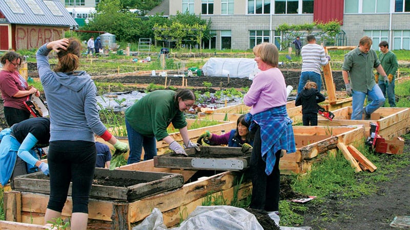 Volunteers working in the P-Patch