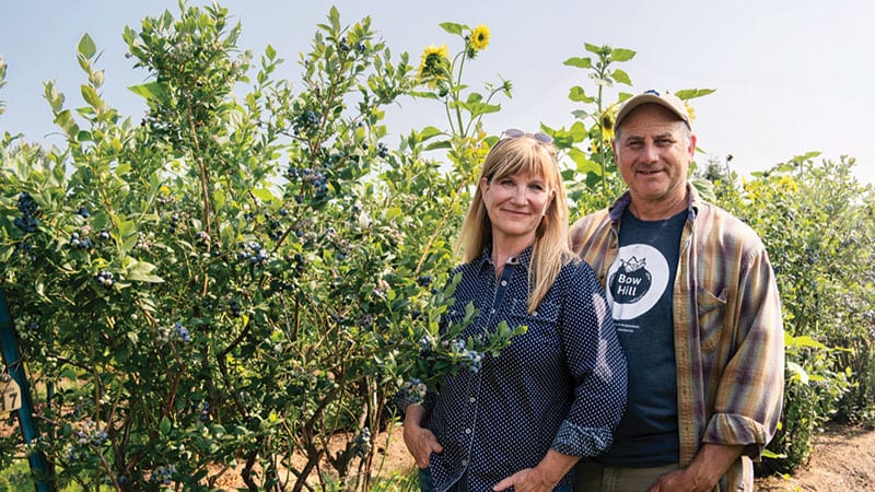 Susan and Harley Soltes of Bow Hill Blueberry Farm