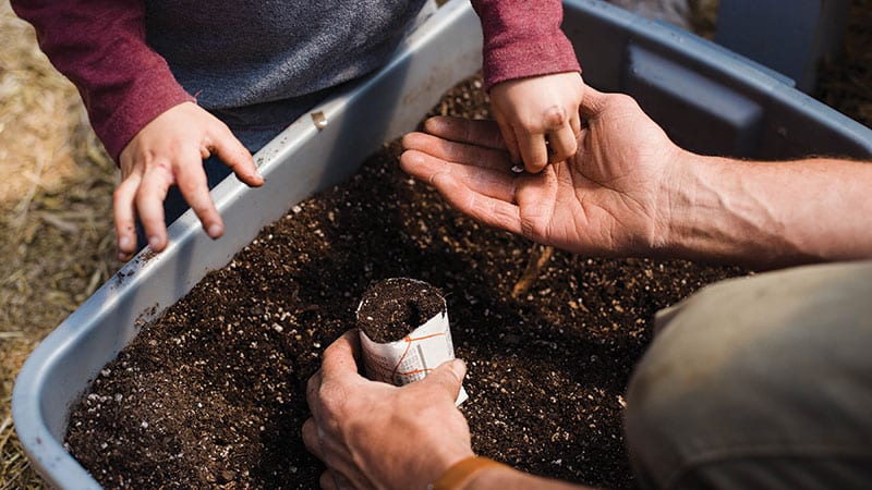 Child's hands picking through soil