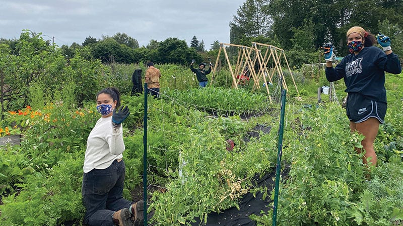 Photo at Marra Farm courtesy of Young Women Empowerment