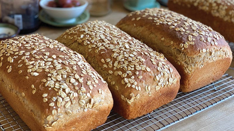 Baked Oat loaves by Nancy Leson
