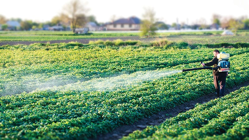 Man spraying pesticides in an open crop field
