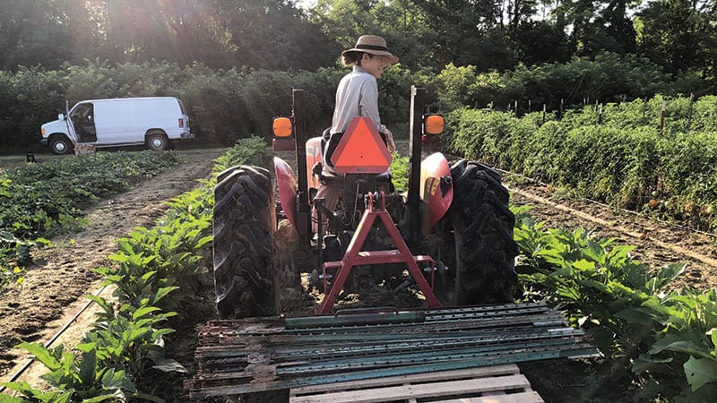 Farmer on tractor. Photo courtesy of Emily Oakley