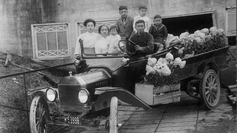 Houghton Greenhouse on Lake Washington Boulevard, operated by I. Saito family, then by K. Yabuki from 1917 to May 1942