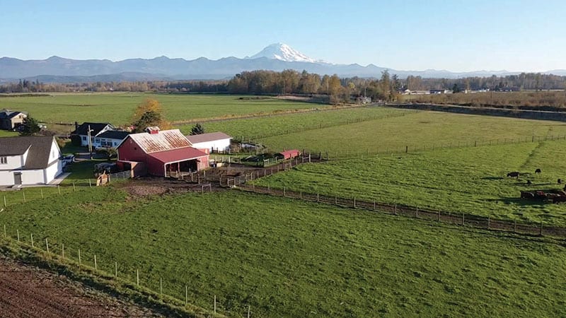 Farm with Mt Rainier in background