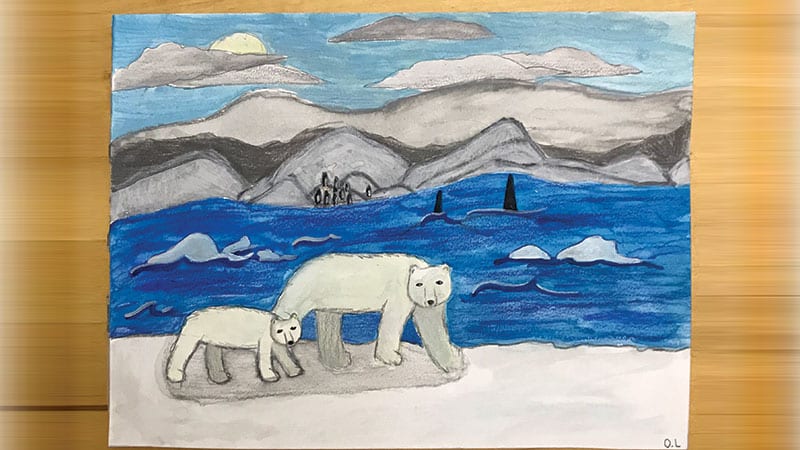 Olivia Lahrson, Arctic Art Project Contestant