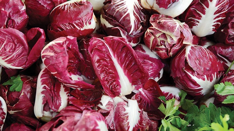 Piles of fresh radicchio