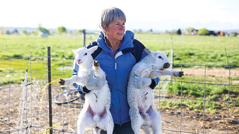 woman holding two lambs
