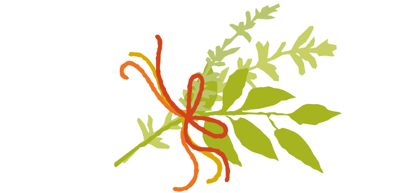 herb bundle illustration