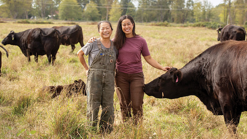 Ladies with cows in the field